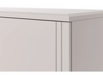 ДЖАЛИ Шкаф ШР-3 (лак льняной)