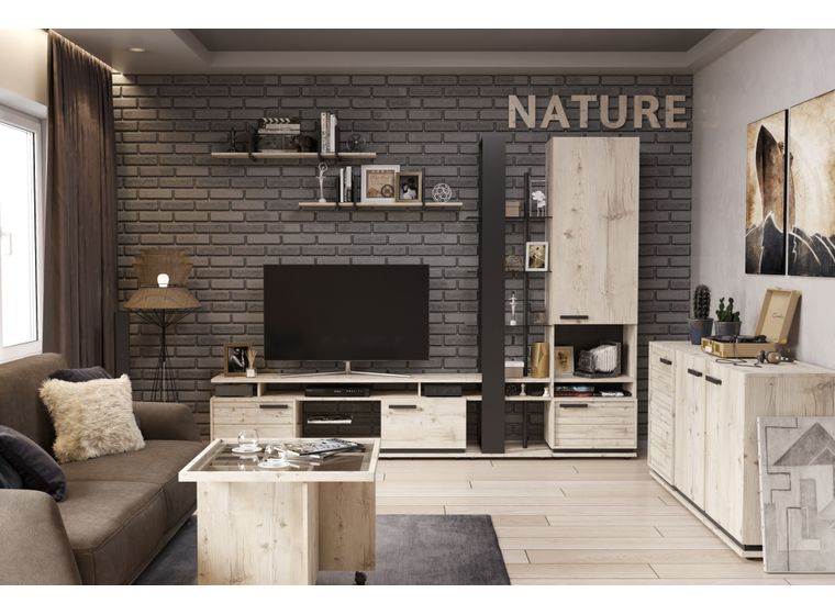 NATURE 1 Шкаф МЦН